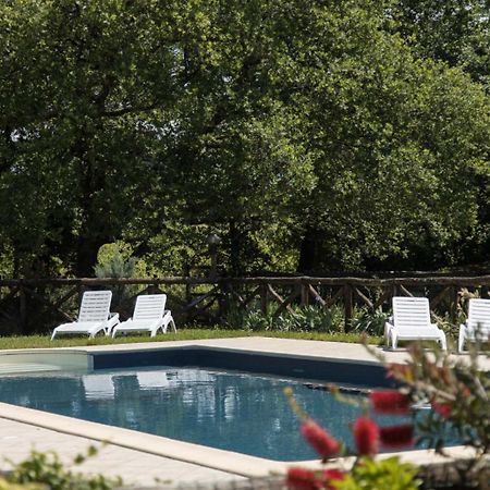 Agriturismo Le Baccane Vinci Eksteriør bilde