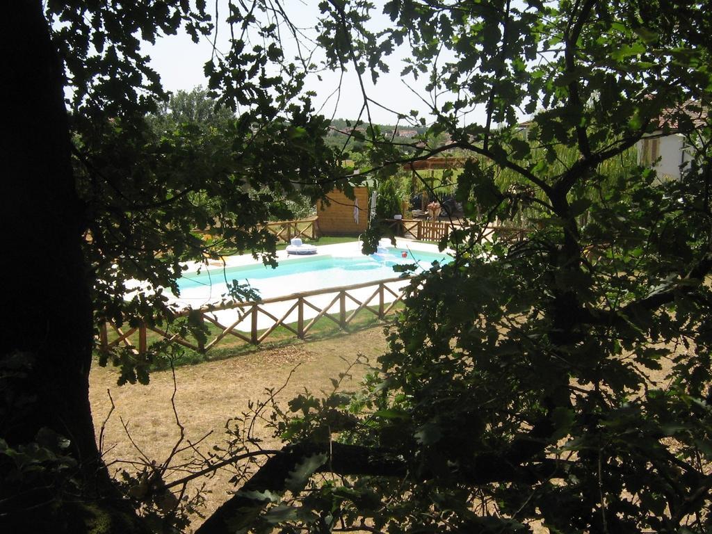 Agriturismo Le Baccane Vinci Eksteriør bilde